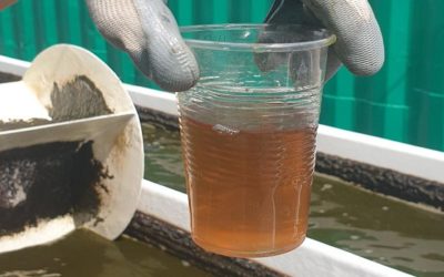 La planta piloto de LIFE ALGAECAN en Huercasa ya se encuentra en funcionamiento