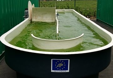 ALGAECAN pilot plant ready to operate in Slovenia