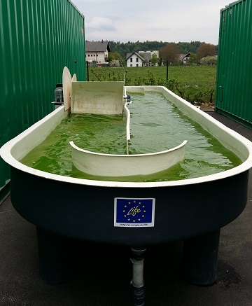 ALGAECAN pilot plant ready to operate in Slovenia