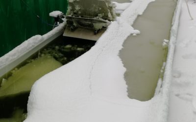 Operación paralizada en VIPI por condiciones invernales