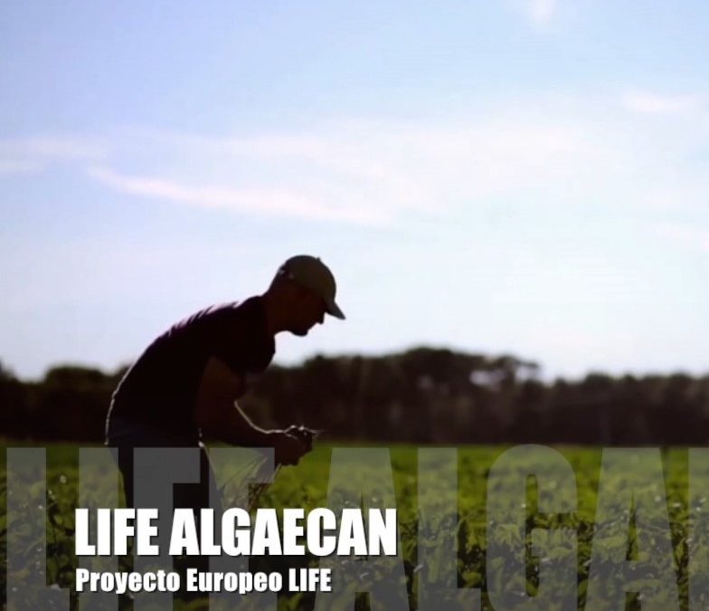 Vídeo promocional de LIFE ALGAECAN